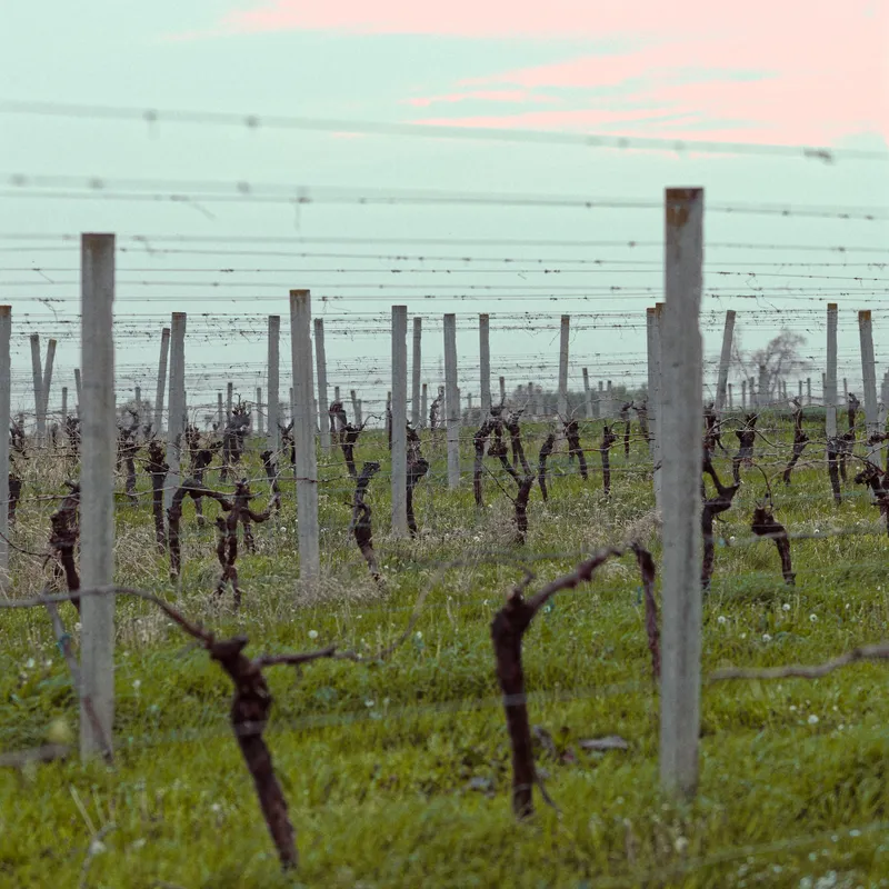 gallery image - IMG_1385.jpg