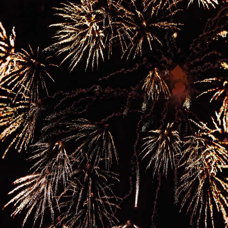 gallery image - IMG_8118.jpg