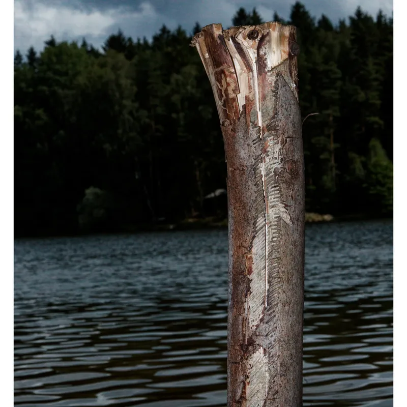 gallery image - IMG_9100.jpg