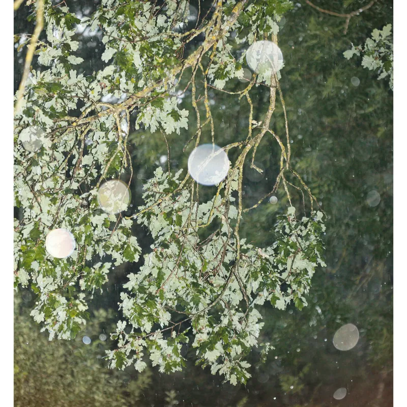 gallery image - IMG_9679.jpg