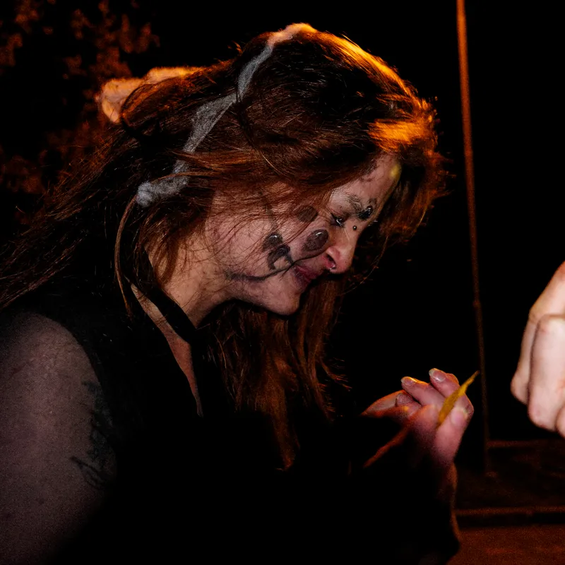 gallery image - _DSF0529.jpg