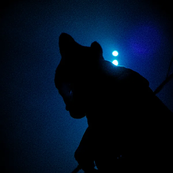 gallery image - _DSF1284.jpg