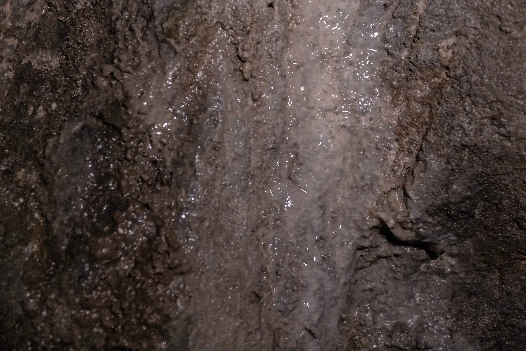 individual image