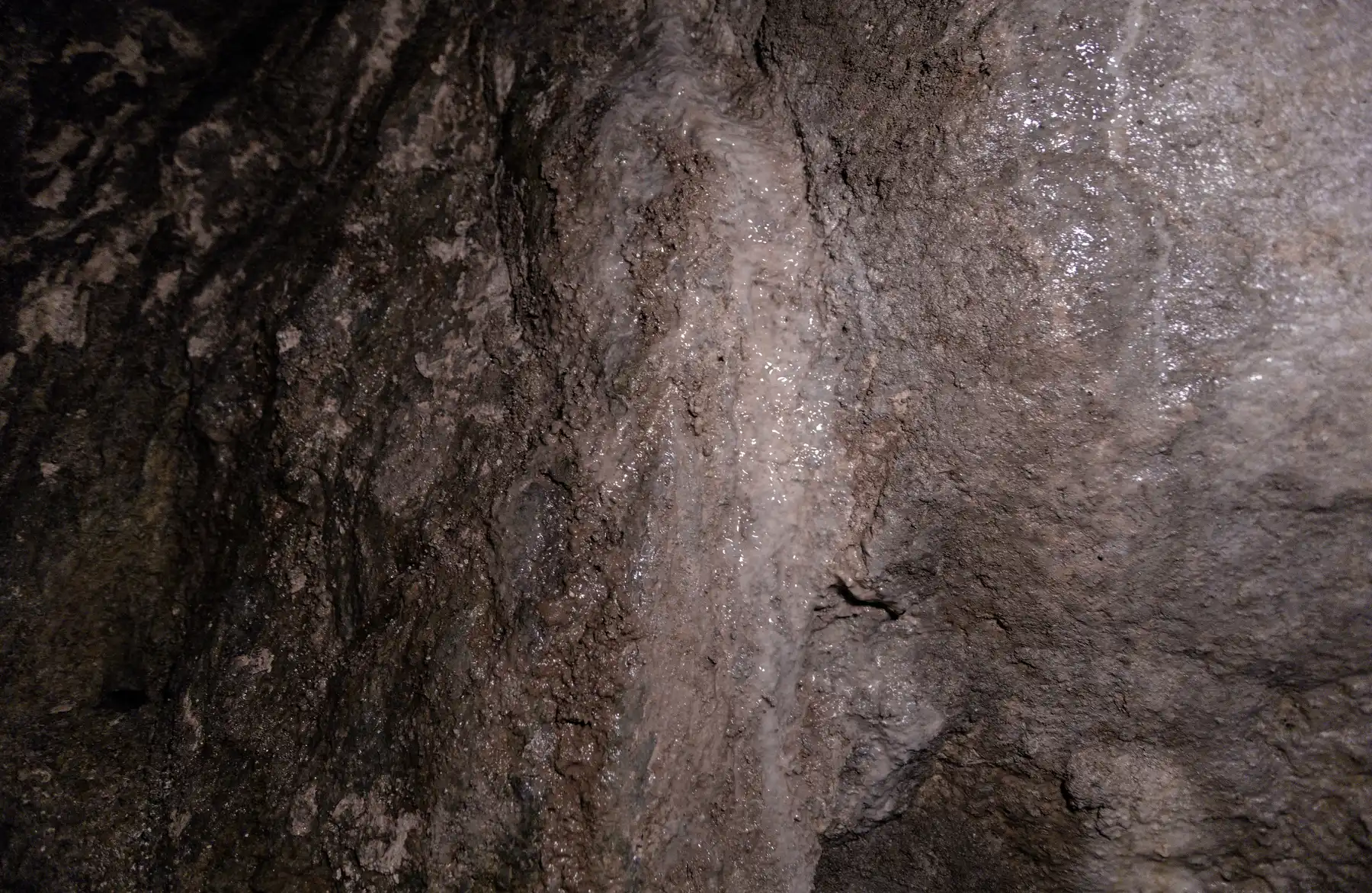 individual image